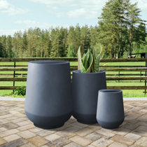 Concrete Planters You'll Love in 2023 - Wayfair Canada